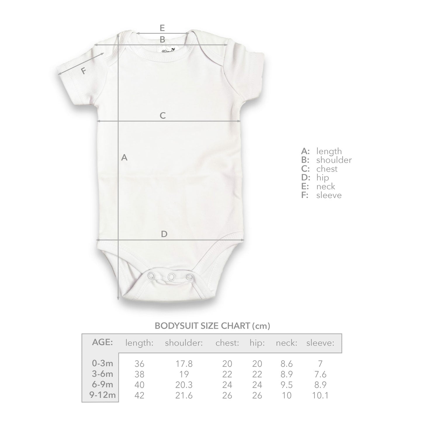 White Organic Cotton Baby Bodysuit Size Chart Canada